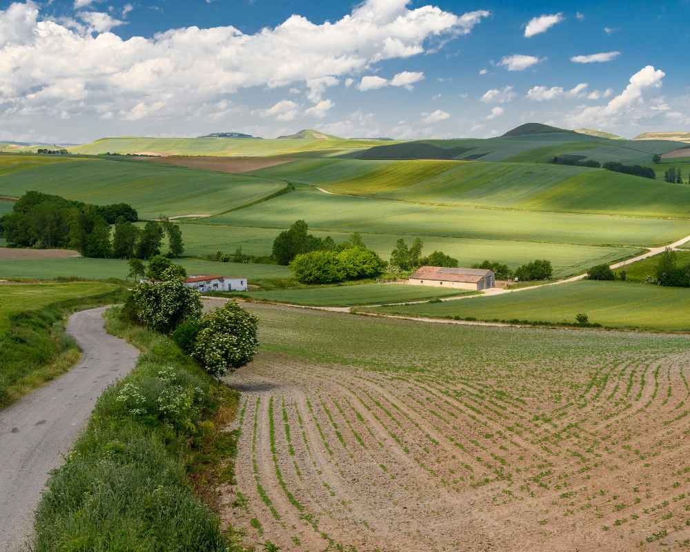 La Rioja